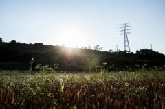 西班牙公布 4 月大停电原因，部分
